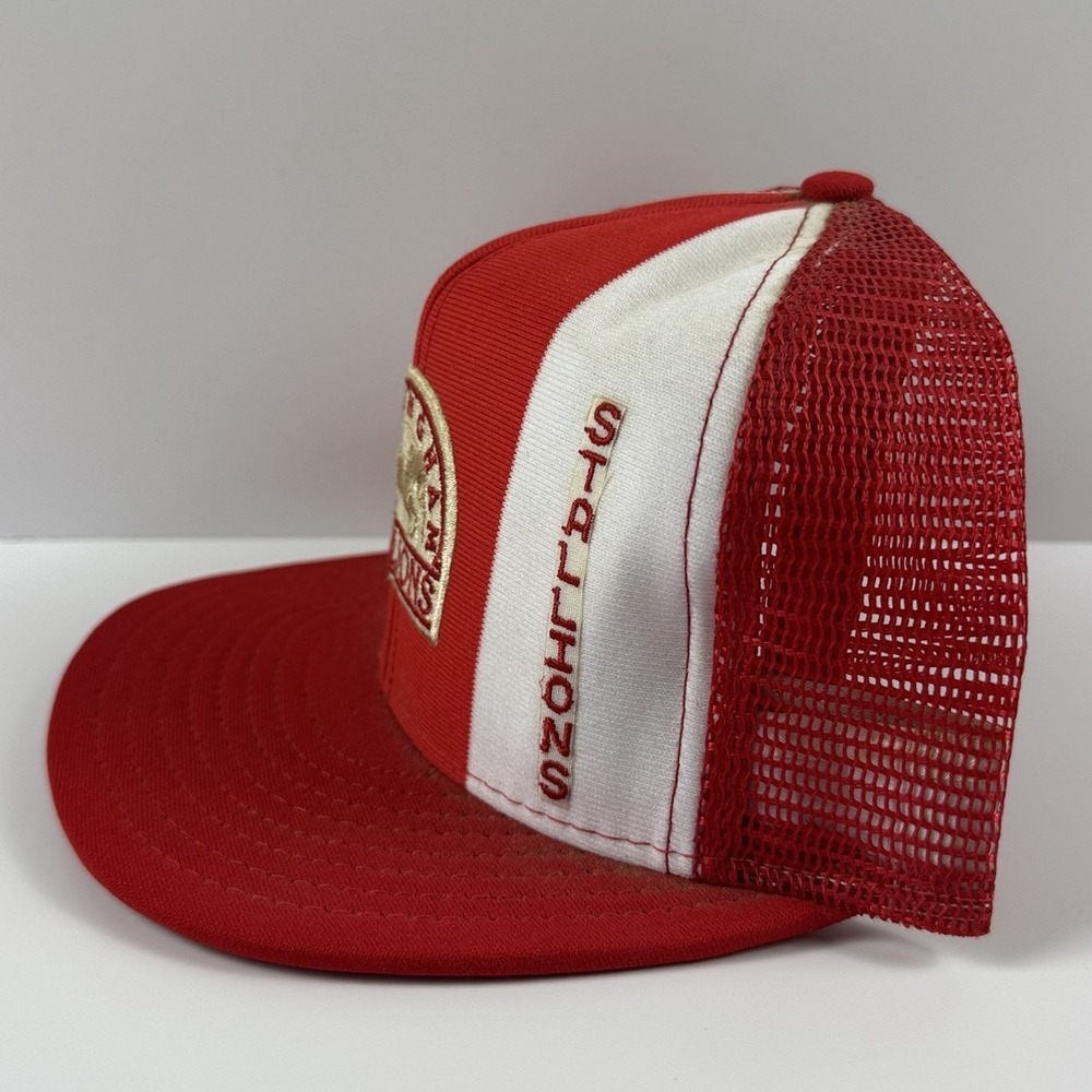Vintage Birmingham Stallions SnapBack Hat AJD Lucky Stripes 80s USFL USA - Picture 3 of 6